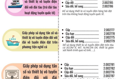 DANH MỤC THỦ TỤC HÀNH CHÍNH (LĨNH VỰC TẦN SỐ VÔ TUYẾN ĐIỆN)